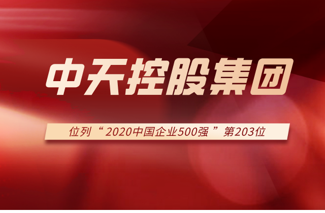 DB电竞集团列2020中国企业500强第203位！